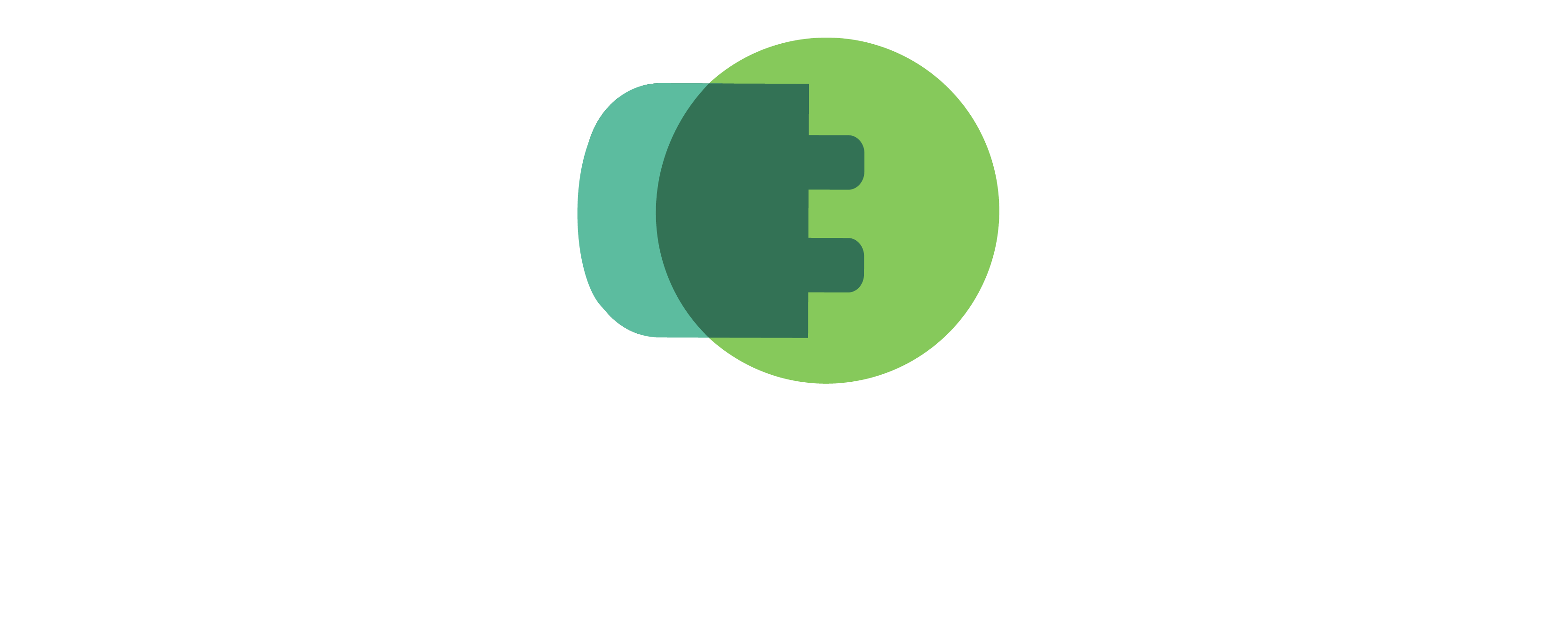 Flow E-Motion